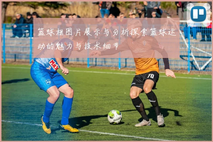 篮球框图片展示与分析探索篮球运动的魅力与技术细节